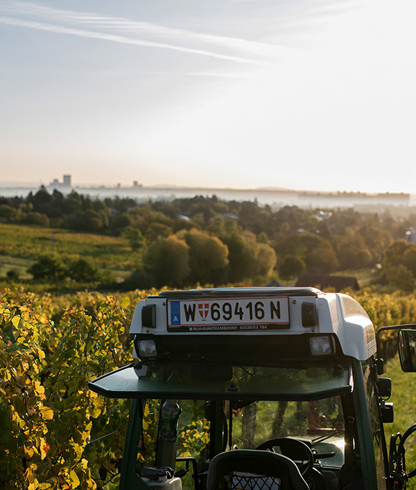 Zahel – Weingut und Heuriger